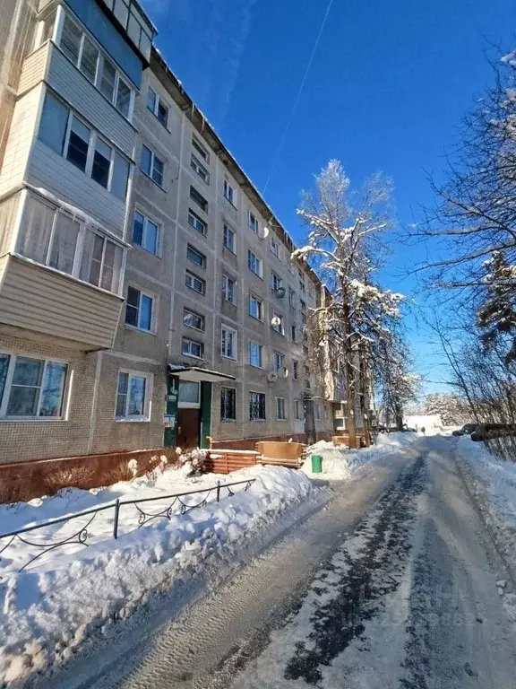 1-к кв. Московская область, Солнечногорск городской округ, д. Ложки ... - Фото 2