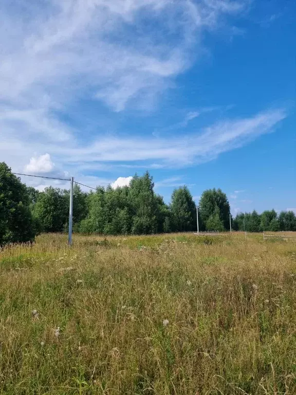 Участок в Ярославская область, Ярославский муниципальный округ, д. ... - Фото 2