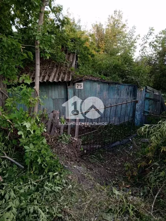 Участок в Новосибирская область, Коченево рп ул. Пушкина, 25А (12.0 ... - Фото 1
