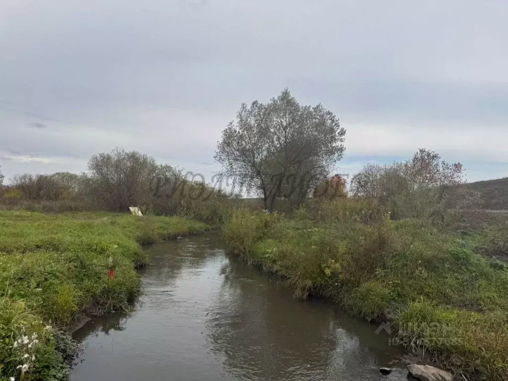 Участок в Алтайский край, Алтайский район, Айский сельсовет, с. Ая  ... - Фото 1