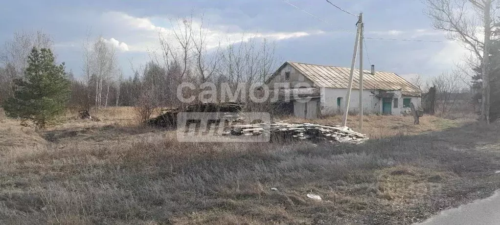 Дом в Липецкая область, Добровский муниципальный округ, с. Большой ... - Фото 0