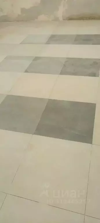 Помещение свободного назначения в Новосибирская область, Новосибирск ... - Фото 1