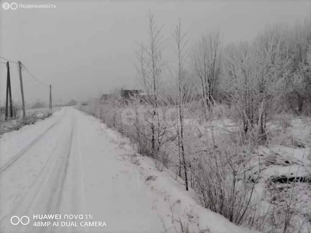 Участок в Вологодская область, Шекснинский муниципальный округ, ... - Фото 1