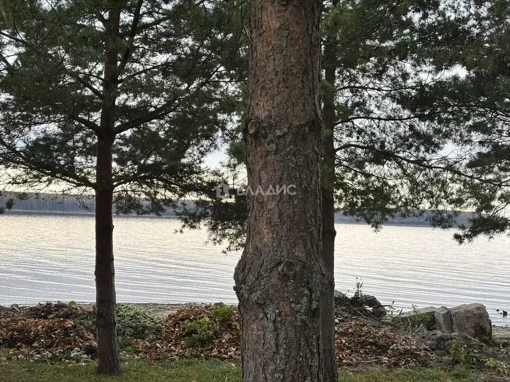 Участок в Ярославская область, Рыбинск д. Еремейцево, 3 (10.31 сот.) - Фото 1