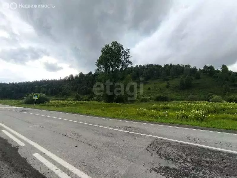 Участок в Чойский район, Паспаульское сельское поселение, село Левинка ... - Фото 0