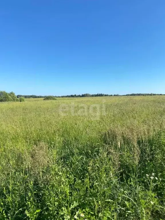 Участок в Костромская область, Красное-на-Волге городское поселение, ... - Фото 0