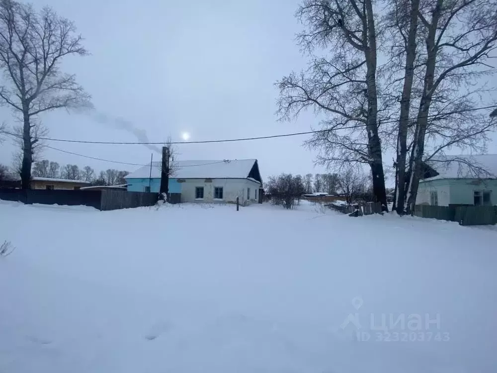 Дом в Амурская область, Белогорский муниципальный округ, с. ... - Фото 2