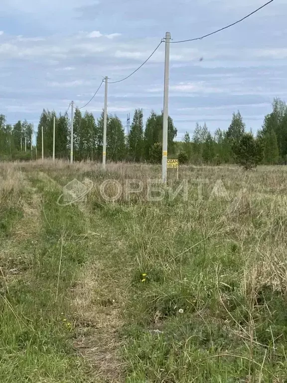 Участок в Тюменская область, Тюменский район, с. Борки  (13.5 сот.) - Фото 1