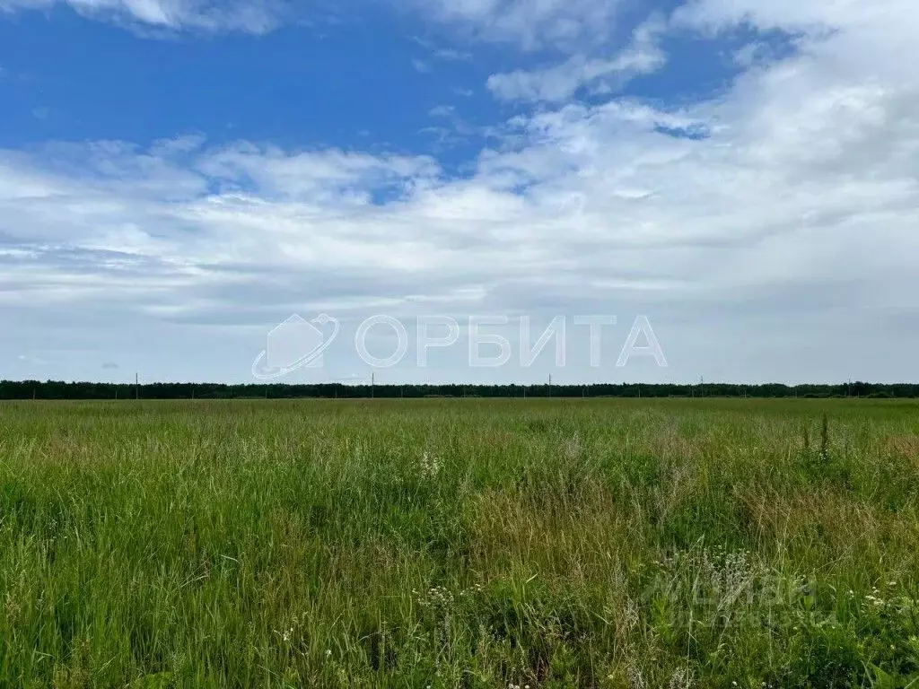 Участок в Тюменская область, Нижнетавдинский район, д. Московка  ... - Фото 0