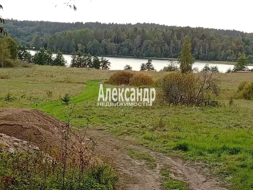 Участок в Карелия, Лахденпохский муниципальный округ, пос. Хийтола  ... - Фото 1