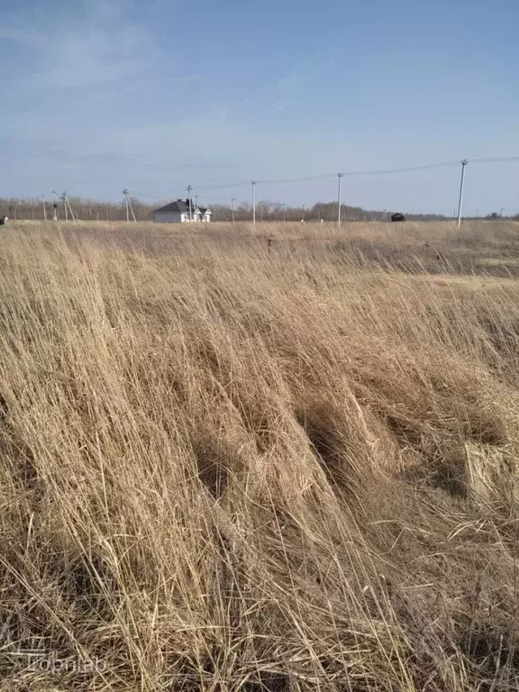 Участок в Тамбовская область, Тамбов ул. Челнавская (7.18 сот.) - Фото 1