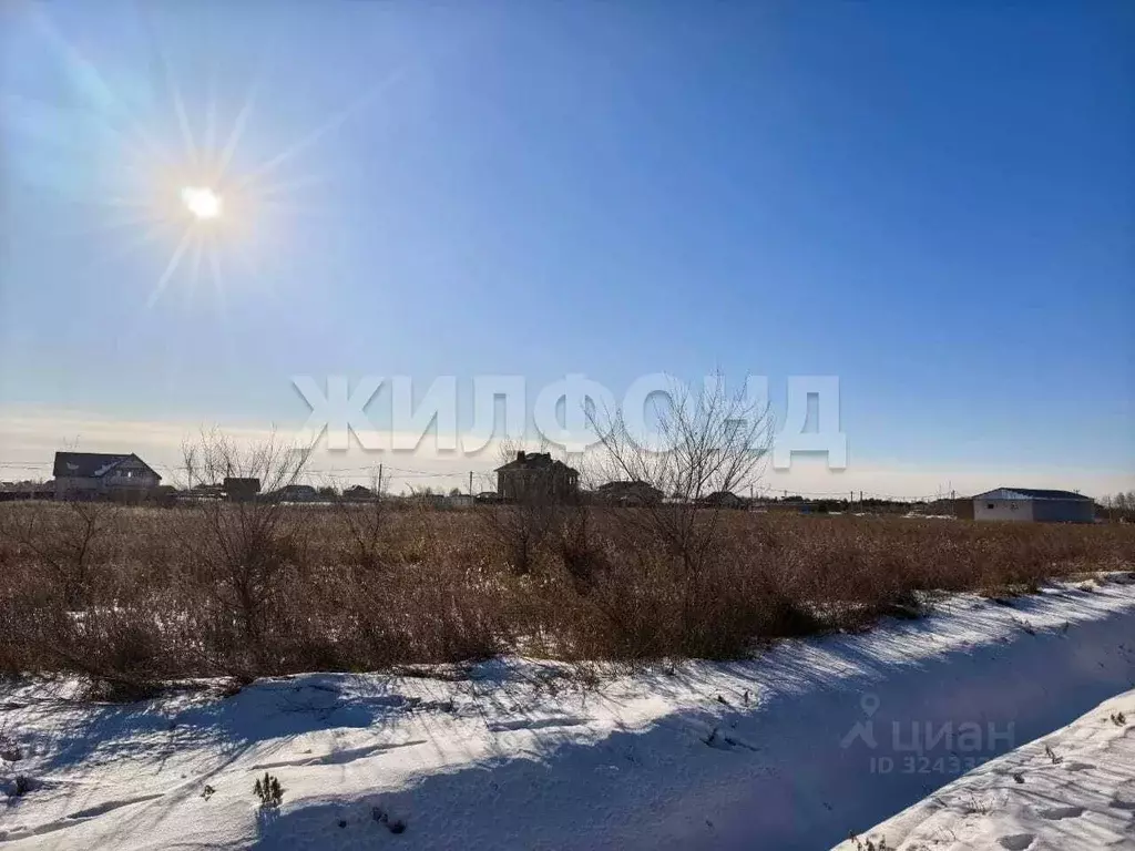 Участок в Амурская область, Благовещенский район, с. Владимировка  ... - Фото 2