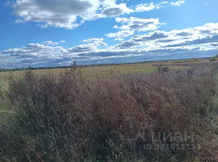 Участок в Московская область, Орехово-Зуевский городской округ, д. ... - Фото 1