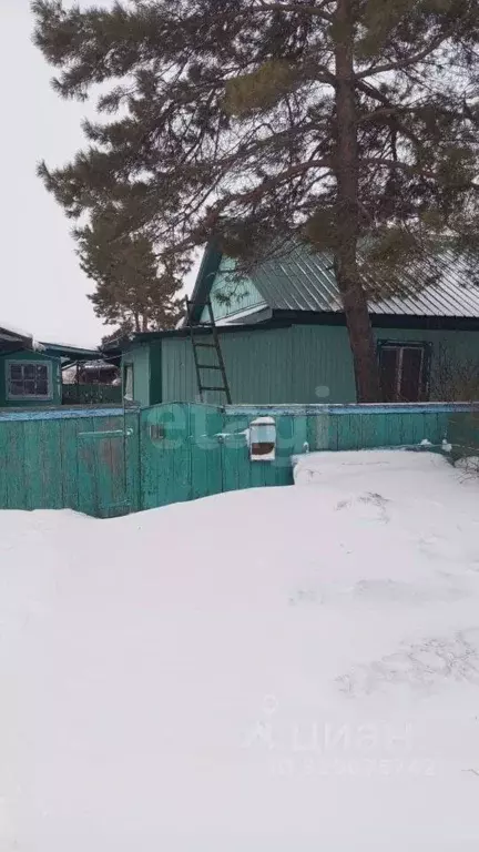 Дом в Амурская область, Тамбовский муниципальный округ, с. Раздольное ... - Фото 0