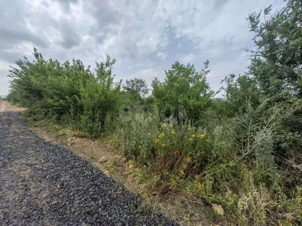 Участок в Ростовская область, Родионово-Несветайский район, ... - Фото 1