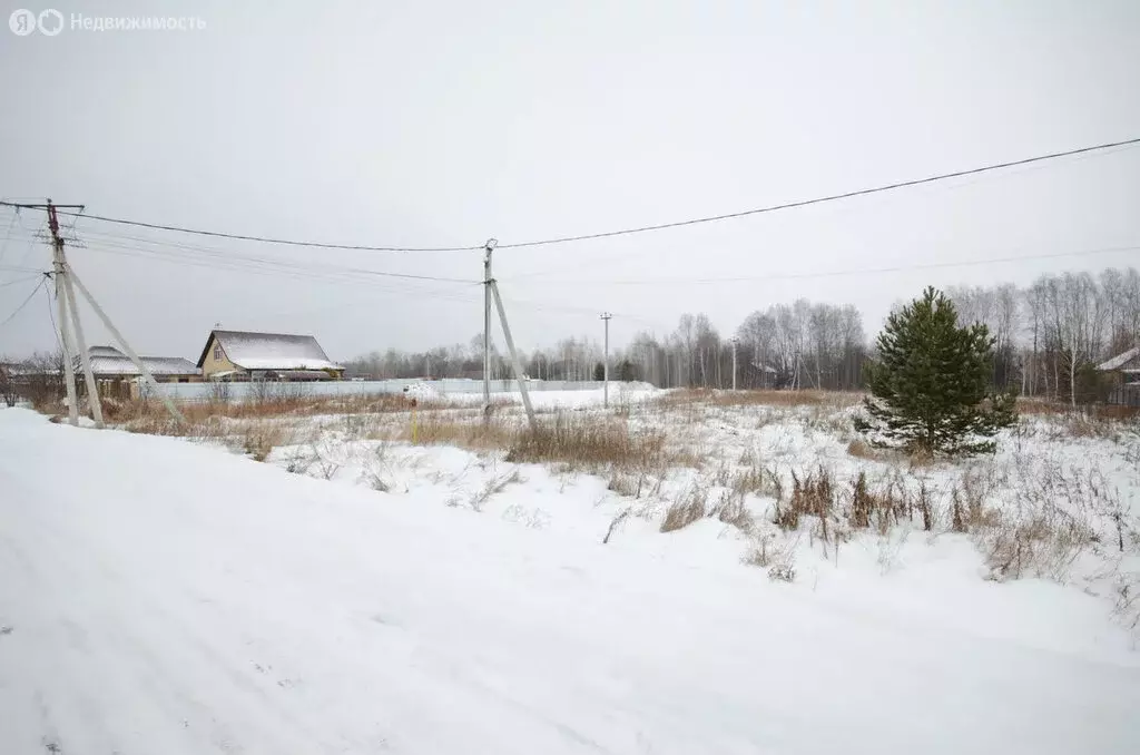 Участок в Заводоуковск, СНТ Колос (15 м) - Фото 0