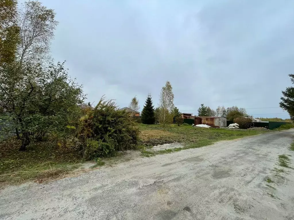 Участок в Тюменская область, Тюмень Царево садовое товарищество, ул. ... - Фото 0