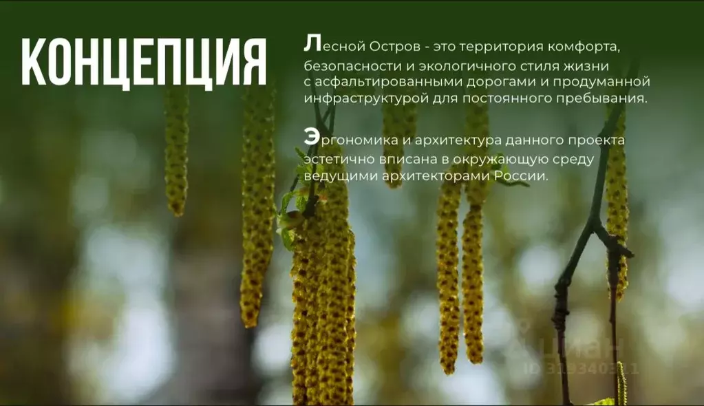 Участок в Московская область, Домодедово городской округ, д. Ивановка, ... - Фото 1