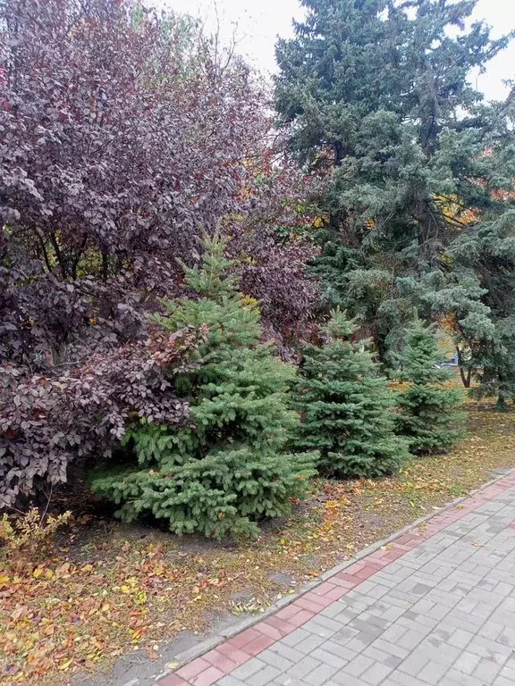 2-к. квартира, 42 м, 1/4 эт. - Фото 1