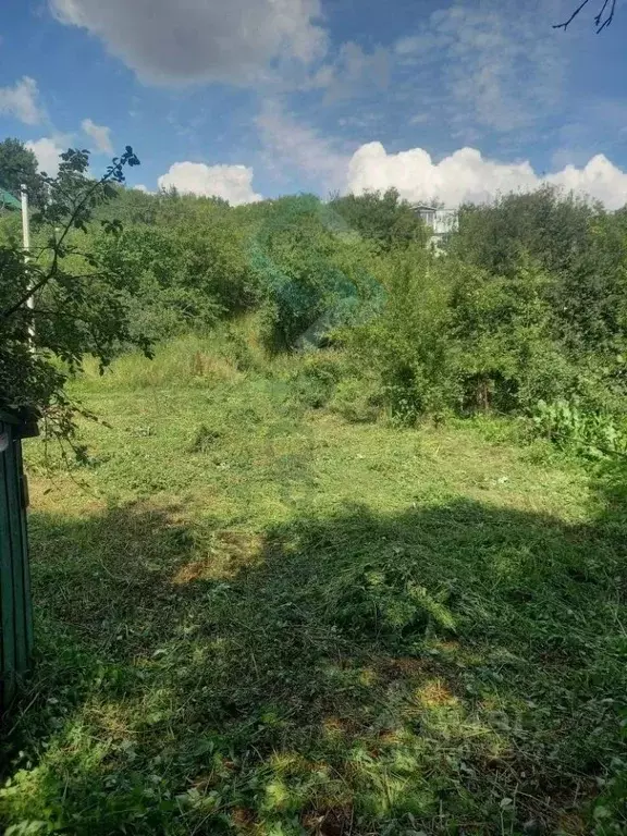 Дом в Нижегородская область, Нижний Новгород Дружба СНТ, 726 (38 м) - Фото 2