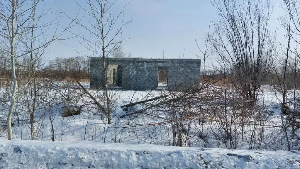 Участок в Хабаровский край, Хабаровский район, Тополевское с/пос, с. ... - Фото 1