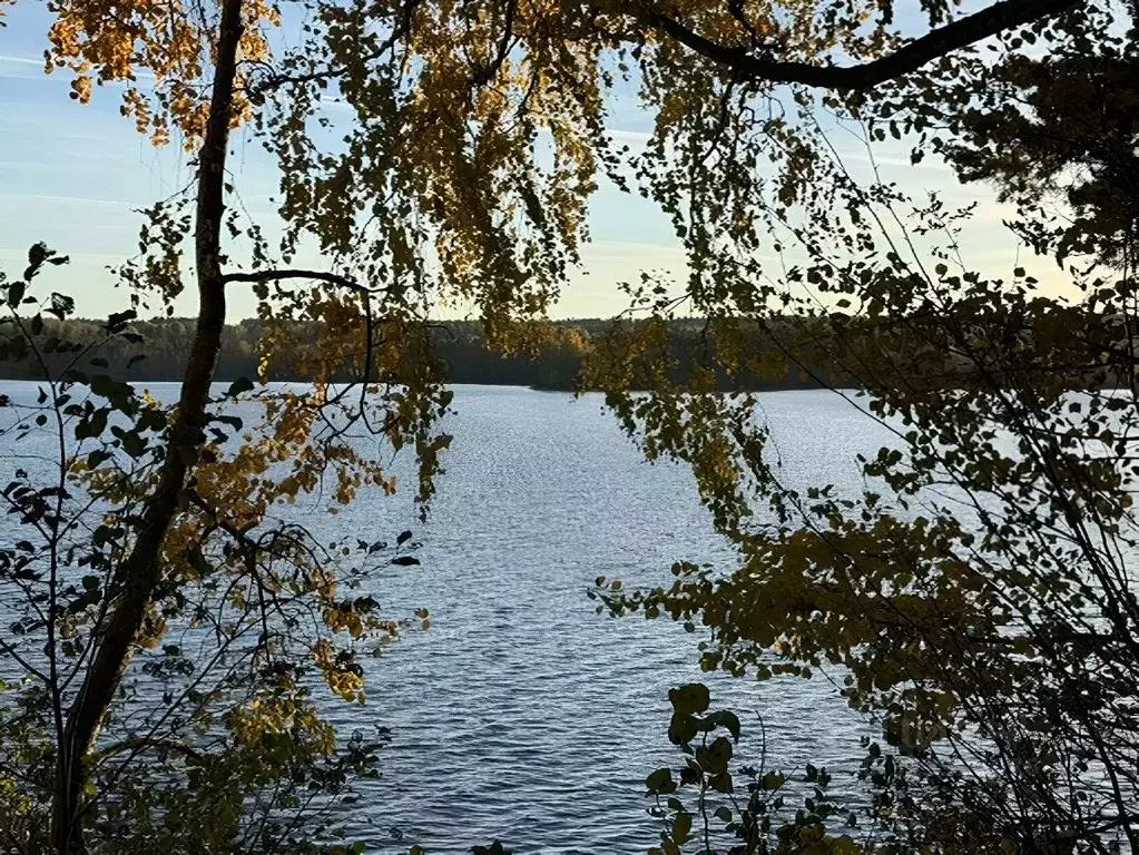 Участок в Ленинградская область, Выборгский район, Полянское с/пос, ... - Фото 2