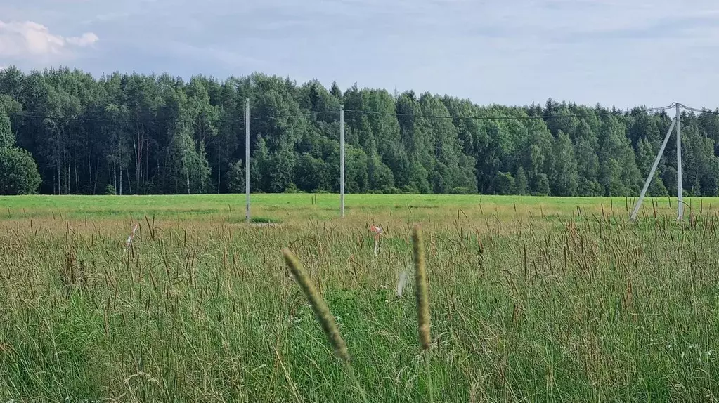 Участок в Санкт-Петербург пос. Левашово,  (12.0 сот.) - Фото 1