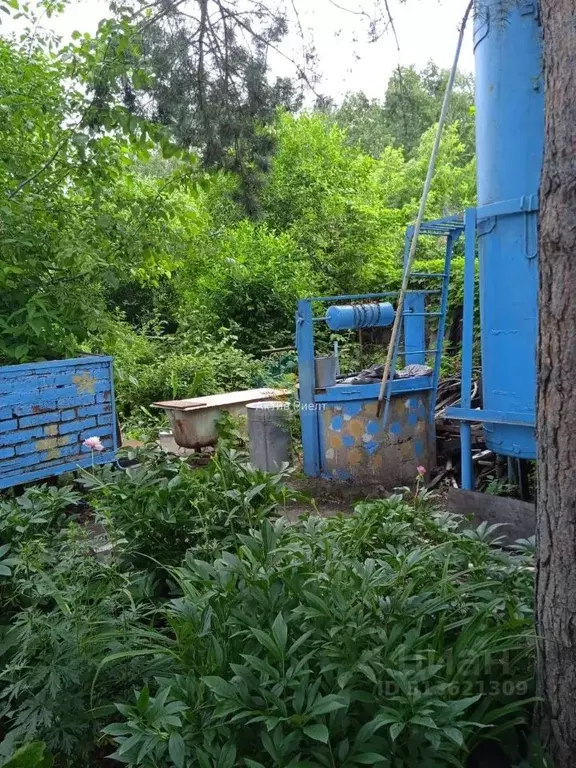 Дом в Омская область, Омск СОСН Дружба тер.,  (30 м) - Фото 1