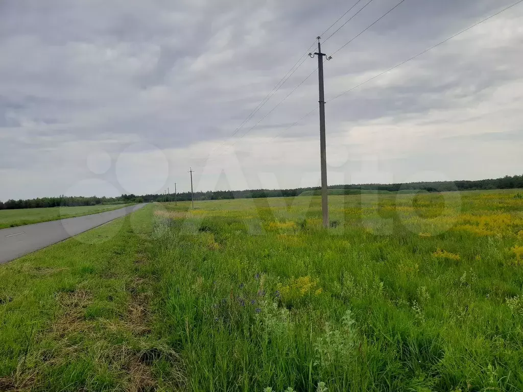 Участок 822 га (СНТ, ДНП) - Фото 0