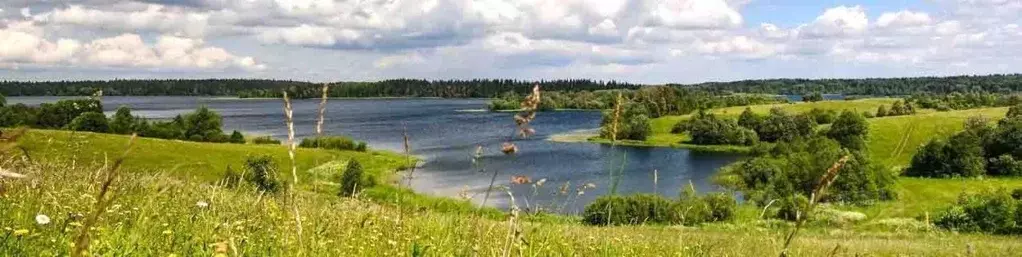 Участок в Новгородская область, Новгородский район, д. Финев Луг  ... - Фото 1