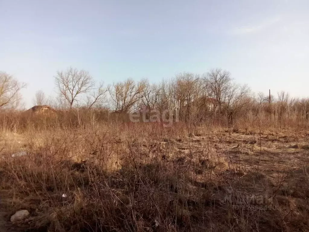 Участок в Воронежская область, с. Семилуки ул. Берегового (15.8 сот.) - Фото 1