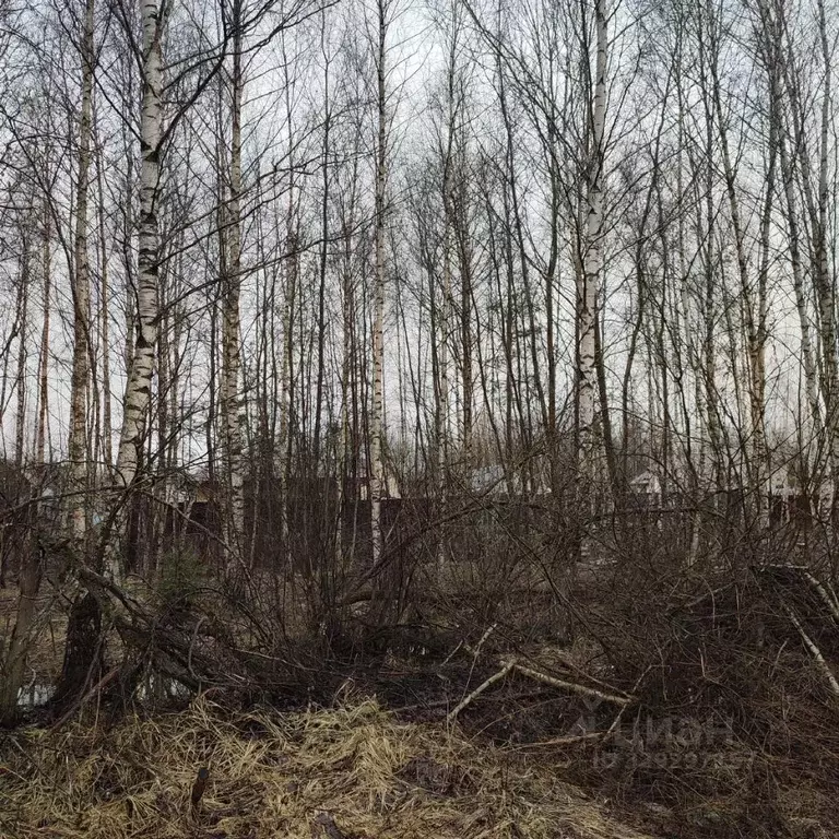 Участок в Московская область, Павловский Посад Усово мкр,  (10.0 сот.) - Фото 1