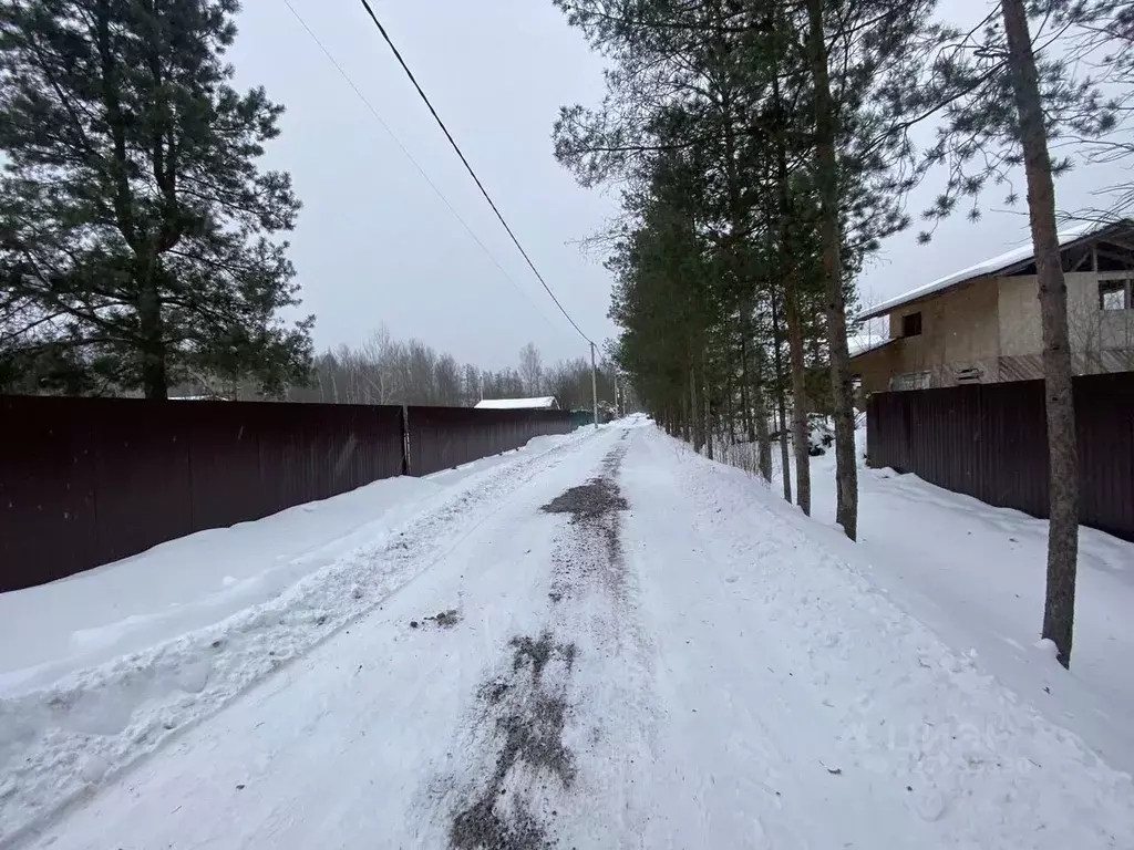 Участок в Ленинградская область, Кировский район, Отрадненское ... - Фото 1