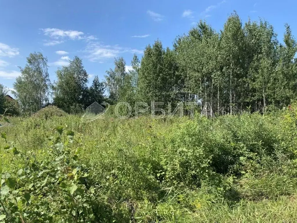 Участок в Тюменская область, Тюмень Лаванда садовое товарищество,  ... - Фото 1