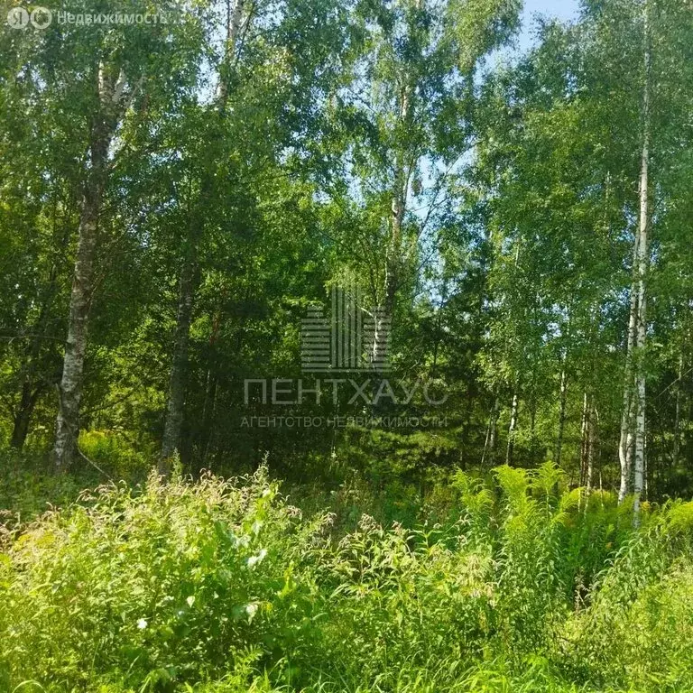 Участок в Владимир, сад Заречье, 83 (10 м) - Фото 1
