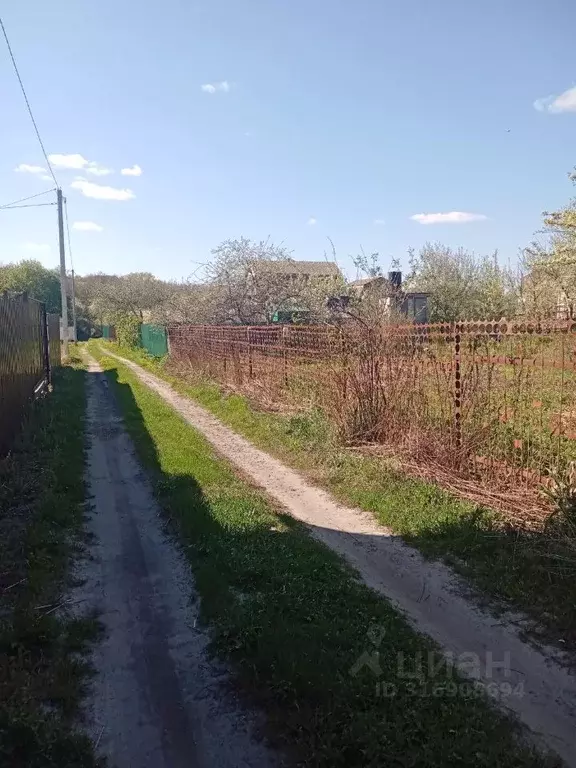 Дом в Курская область, Курск  (43 м) - Фото 1