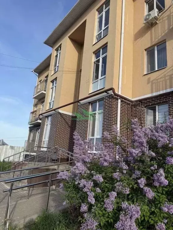 1-к кв. Белгородская область, Белгородский муниципальный округ, с. ... - Фото 2