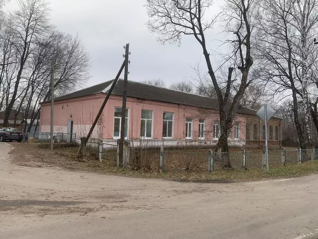 Помещение свободного назначения в Московская область, Луховицы ... - Фото 2