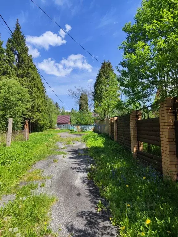 Участок в Москва Юбилейный садовое товарищество, 2 (6.0 сот.) - Фото 1