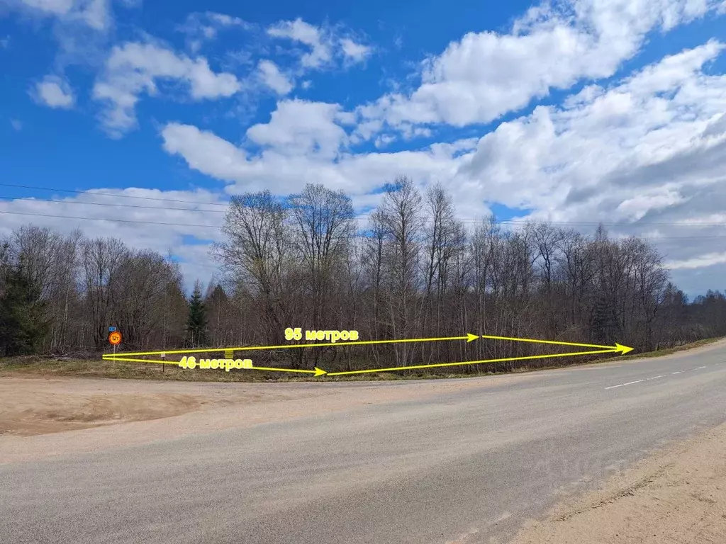 Участок в Новгородская область, Демянский муниципальный округ, с. ... - Фото 1