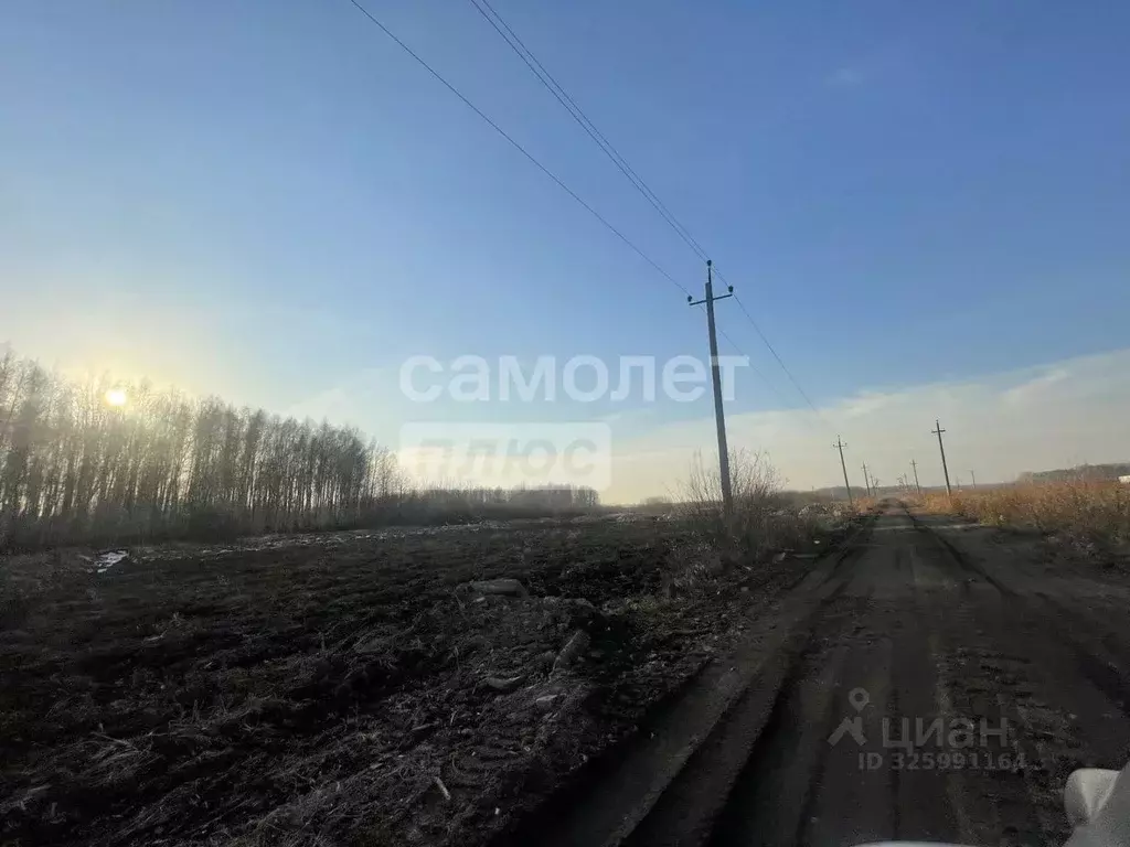 Участок в Тюменская область, Тюменский муниципальный округ, с. ... - Фото 1