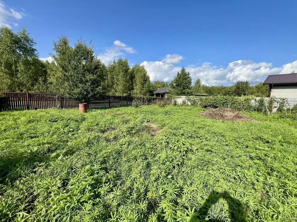 Участок в Московская область, Ступино городской округ, Янтарь СНТ ул. ... - Фото 2