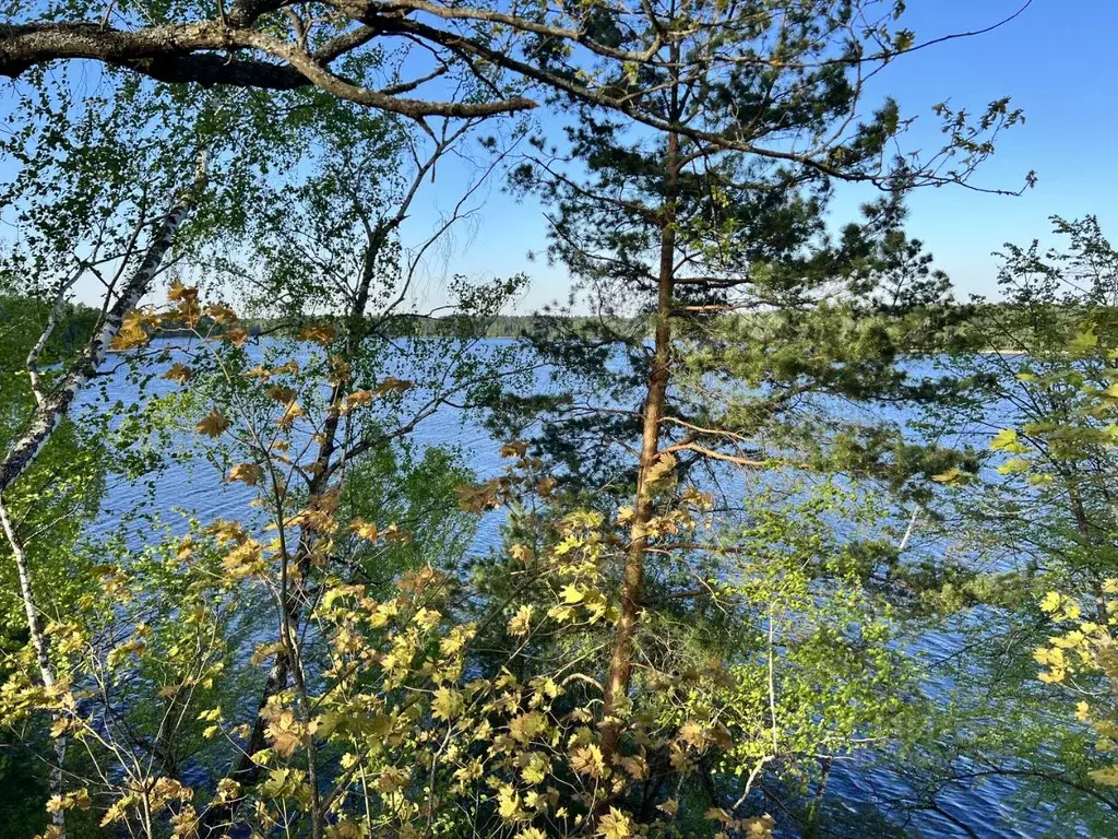 Участок в Московская область, Мытищи городской округ, д. Аксаково ул. ... - Фото 0