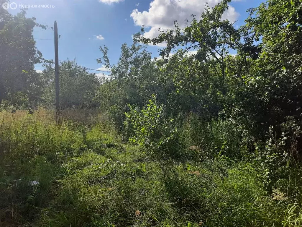 Участок в Ленинградская область, Гатчина (6 м) - Фото 1