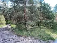 Участок в Белгородская область, Чернянский муниципальный округ, хутор ... - Фото 2