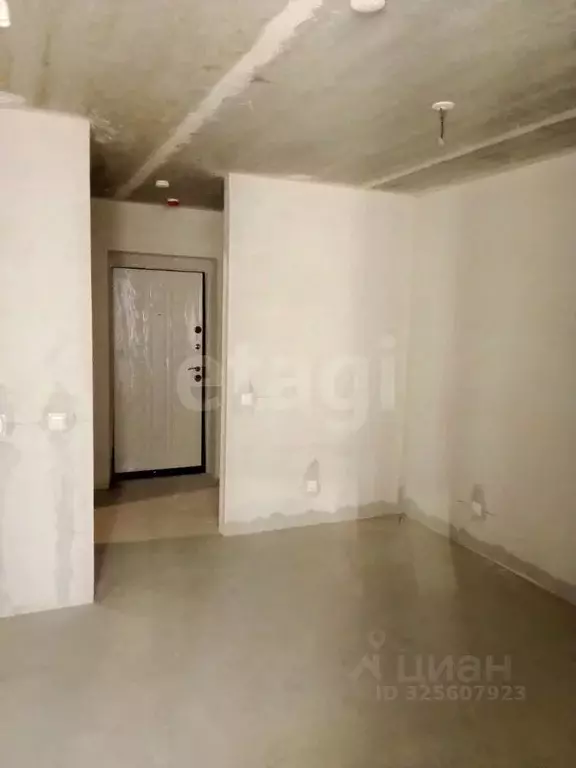 Студия Амурская область, Благовещенский район, с. Чигири ул. ... - Фото 1