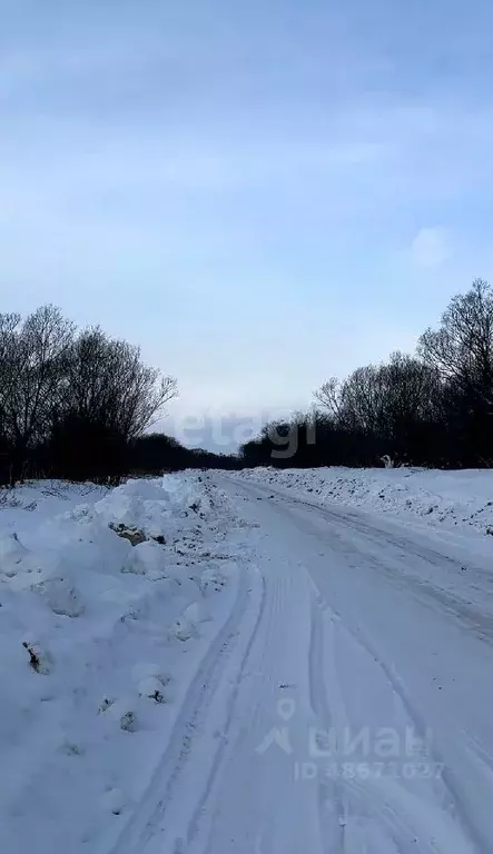 Участок в Сахалинская область, Анивский городской округ, с. ... - Фото 0