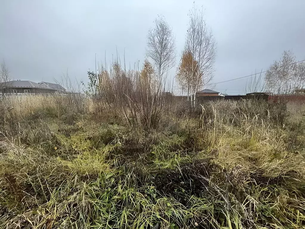 Участок в Владимирская область, Александровский район, Андреевское ... - Фото 1