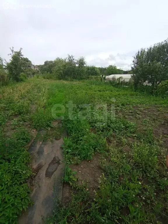 Участок в Сызранский район, городское поселение Междуреченск, СНТ 25 ... - Фото 1