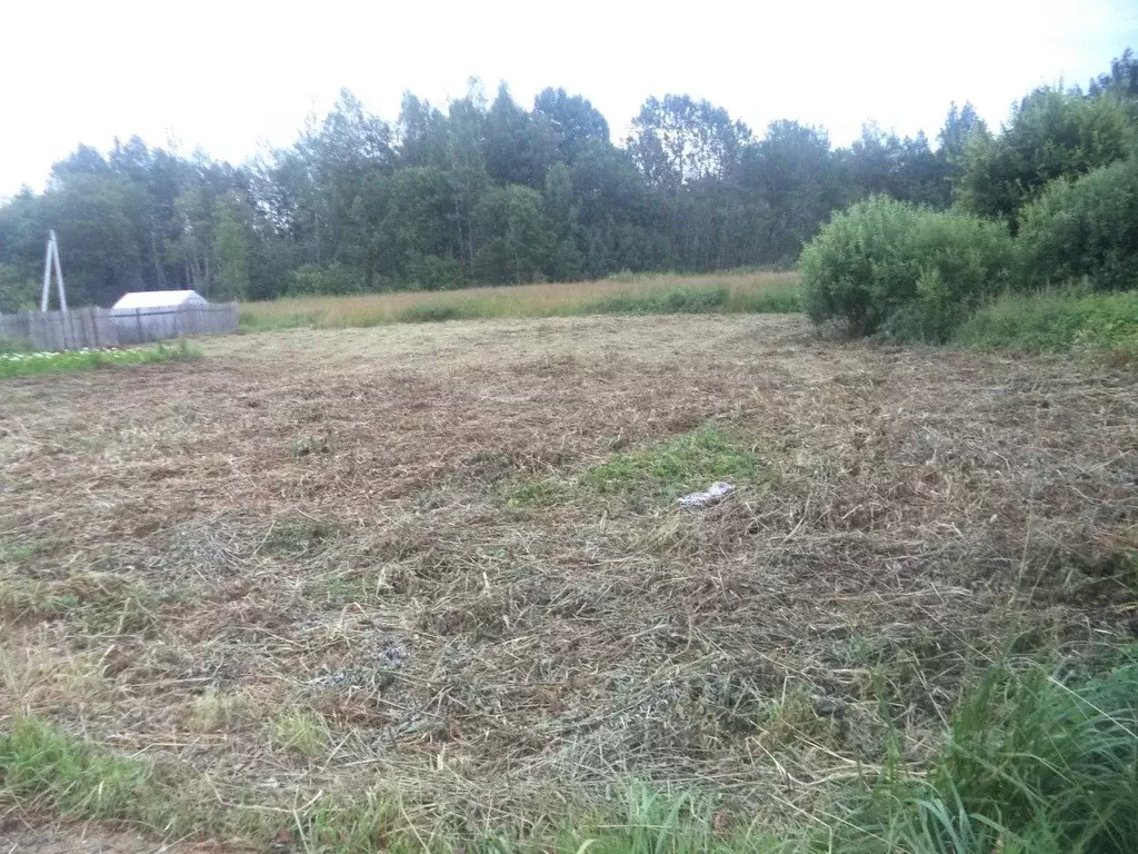 Участок в Ярославская область, Гаврилов-Ямский муниципальный округ, с. ... - Фото 2